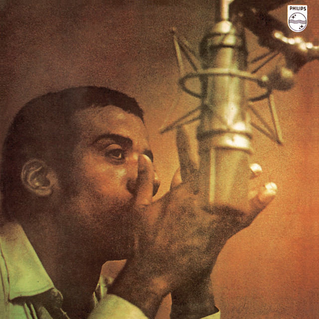Força Bruta album cover